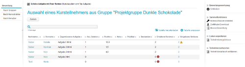 Bewertungswerkzeug - Übersicht zum Peer Review_de.png