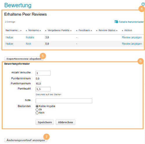 Bewertungswerkzeug - Detailansicht2_de.png