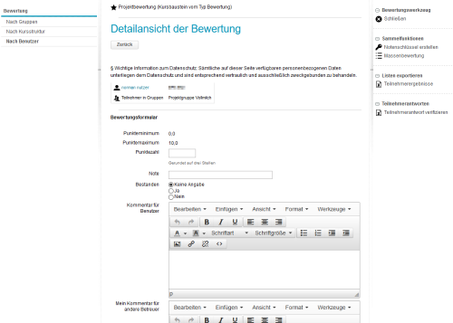 Bewertungswerkzeug-Bewertungsformular leer_de.png
