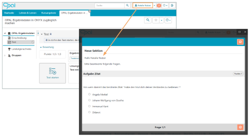 Kurseditor - Variablenbeispiel Testrun_de.png