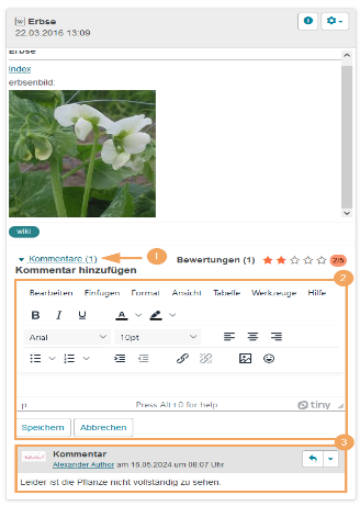 Lehren und Lernen - Artefakt kommentieren_de.png