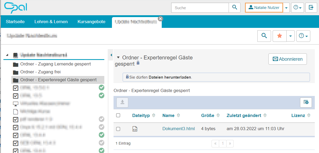 Kursansicht - Expertenregel Lernendenansicht_de.png