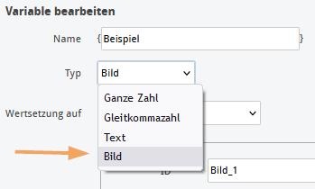 Editor - Bildvariable Typauswahl_de.png