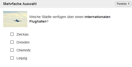 Testrun - Beispielaufgabe Mehrfache Auswahl_de.png