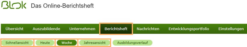 Externe Ausbilder - Ansichten des Berichtsheftes_de.png