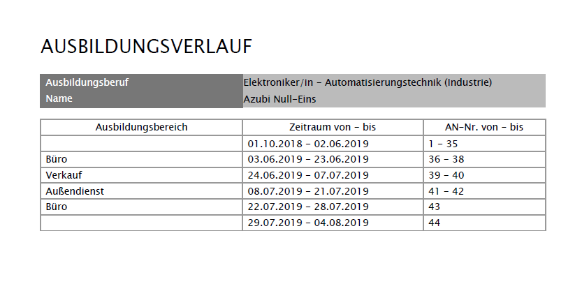 Azubi - Druck - Beispiel Ausbildungsverlaufsseite_de.png