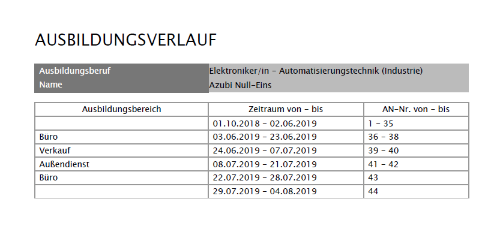 Azubi - Druck - Beispiel Ausbildungsverlaufsseite_de.png