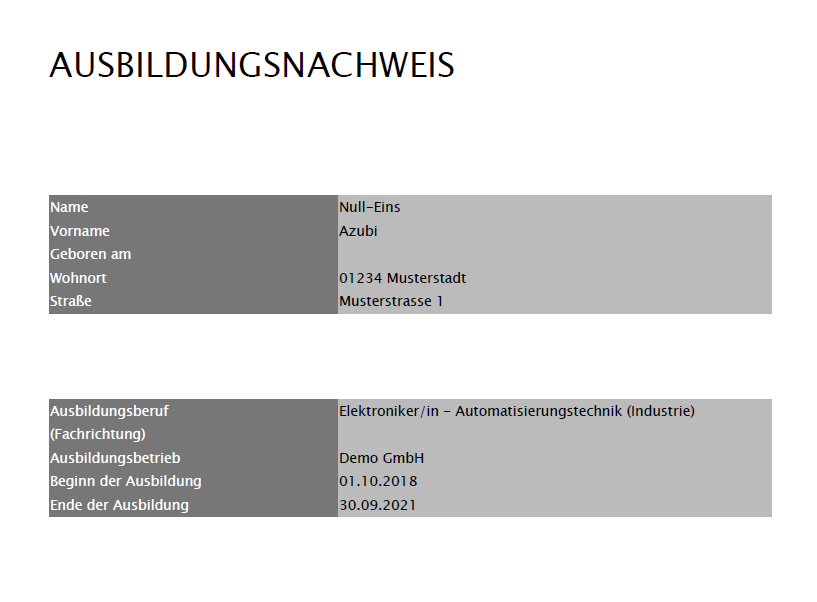 Azubi - Druck - Beispiel Titelseite_de.png