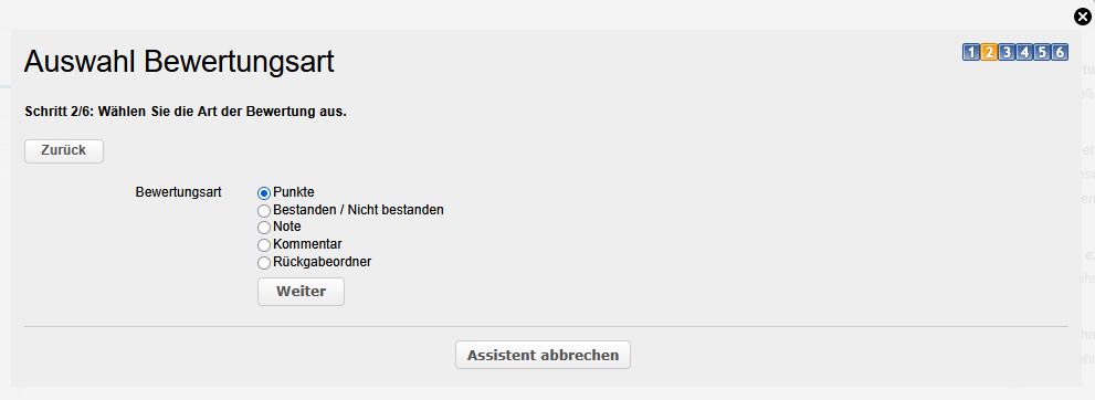 Bewertungswerkzeug - Auswahloptionen Bewertungsart_de.png