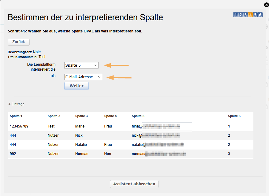 Massenbewertung - Auswahl E-Mailadresse_de.png