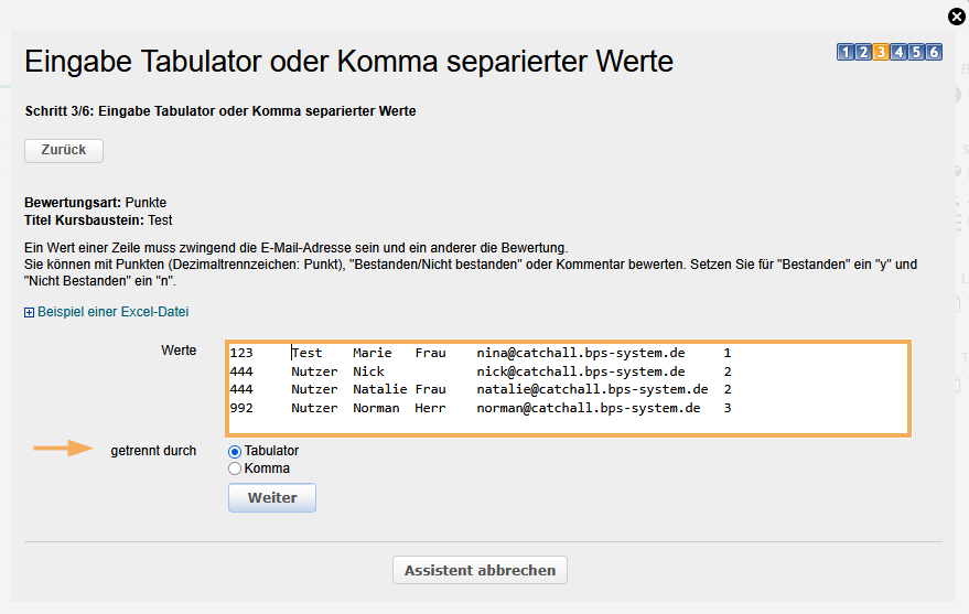 Massenbewertung - Werte eingeben_de.png