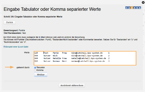 Massenbewertung - Werte eingeben_de.png