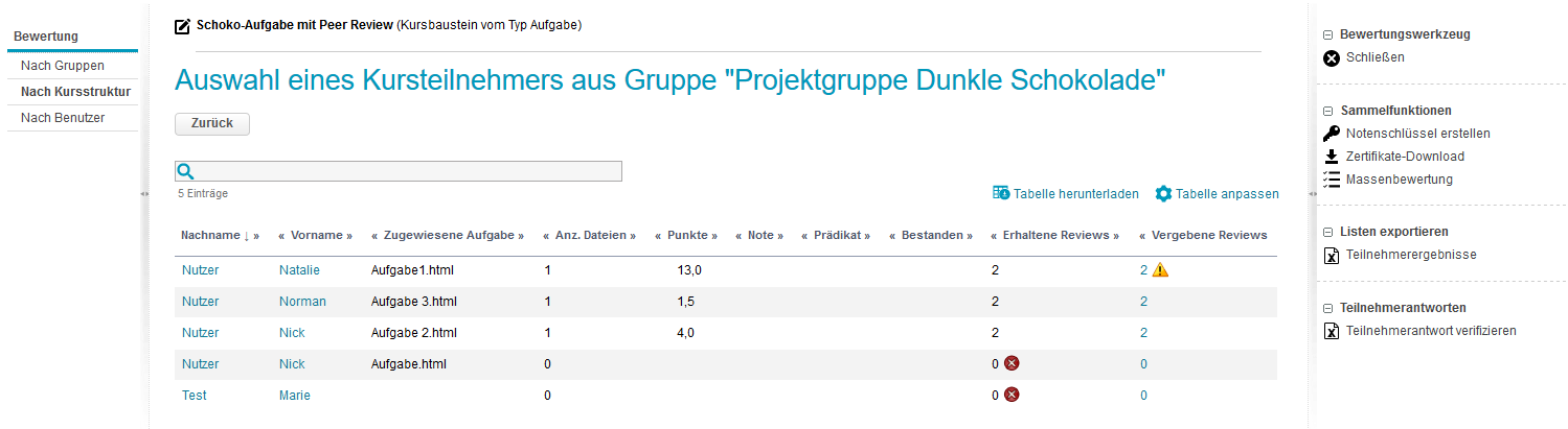 Bewertungswerkzeug - Übersicht zum Peer Review_de.png