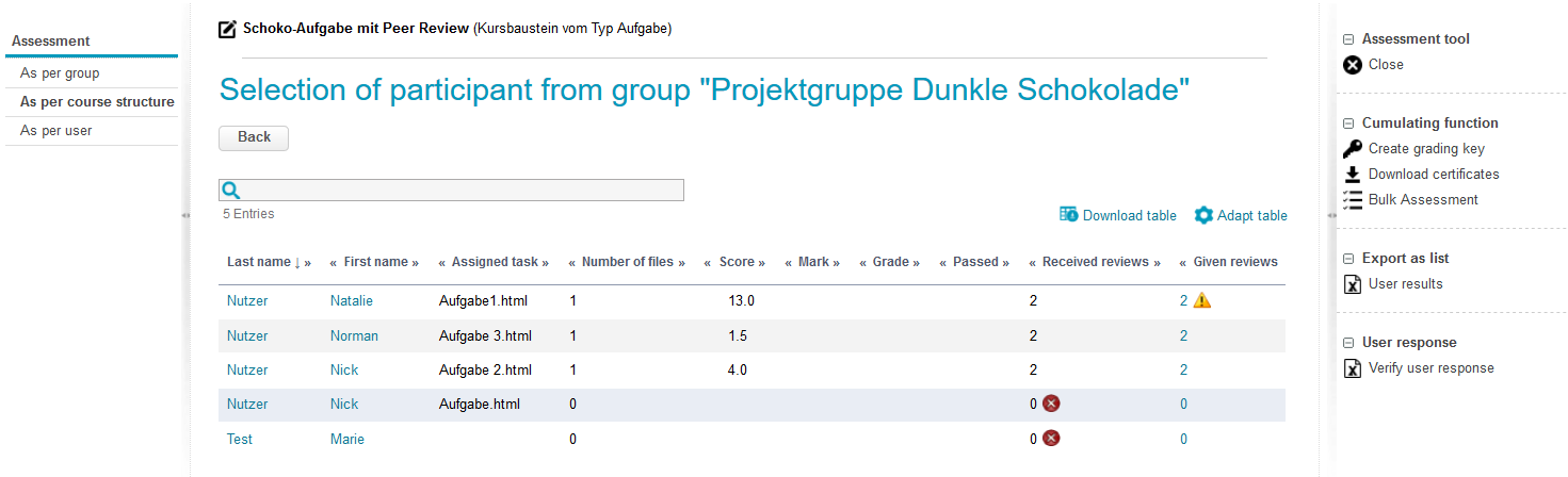 Bewertungswerkzeug - Übersicht zum Peer Review_en.png