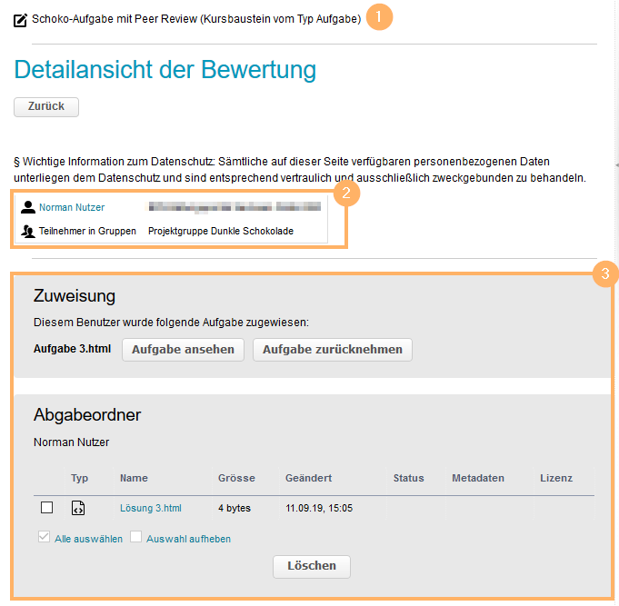 Bewertungswerkzeug - Detailansicht1_de.png