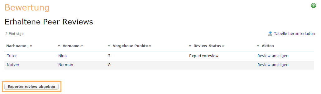Bewertungswerkzeug - Expertenreview starten_de.png
