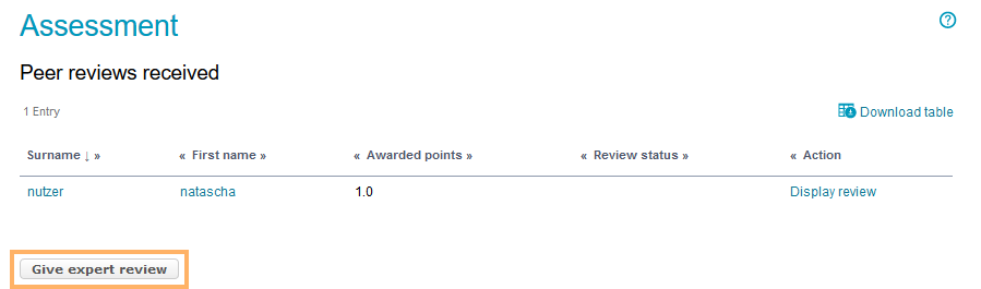 Bewertungswerkzeug - Expertenreview starten_en.png