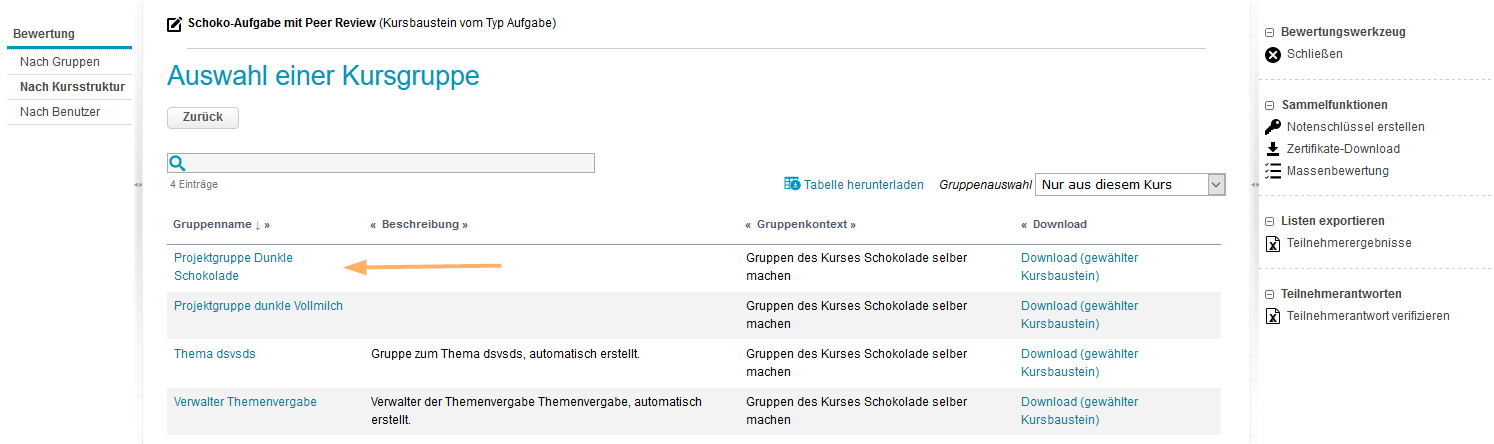 Bewertungswerkzeug - Gruppenauswahl_de.png