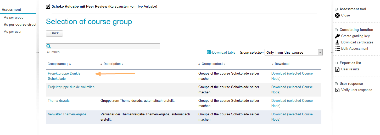 Bewertungswerkzeug - Gruppenauswahl_en.png