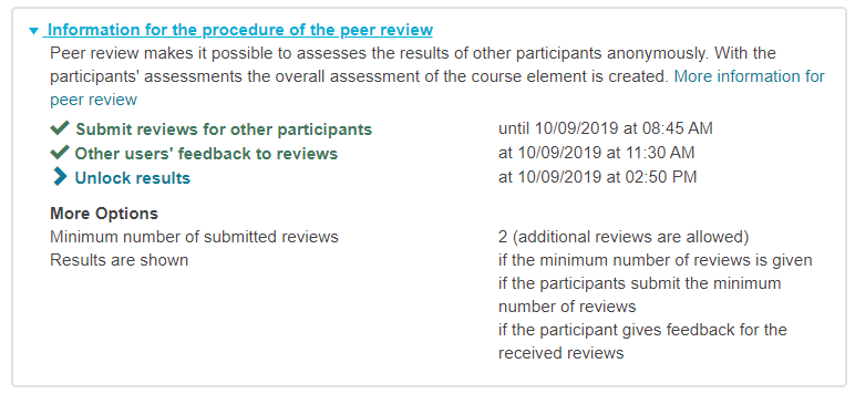 Kursrun - Ablauf PeerReview2_en.png