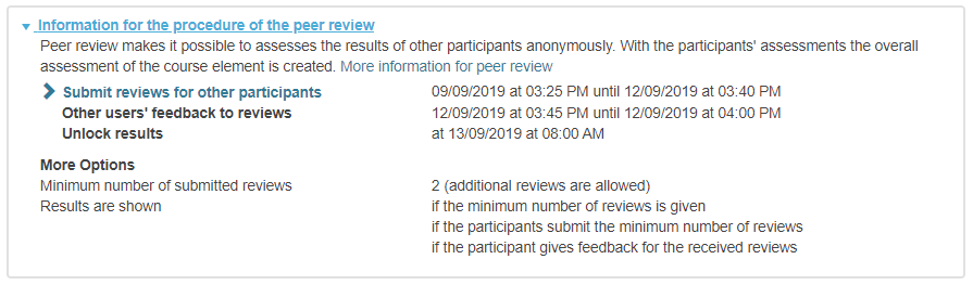 Kursrun - Ablauf PeerReview_en.png