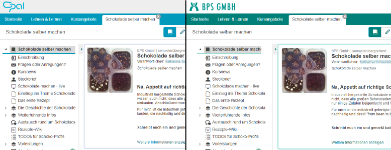 Corporate Design Anpassungen