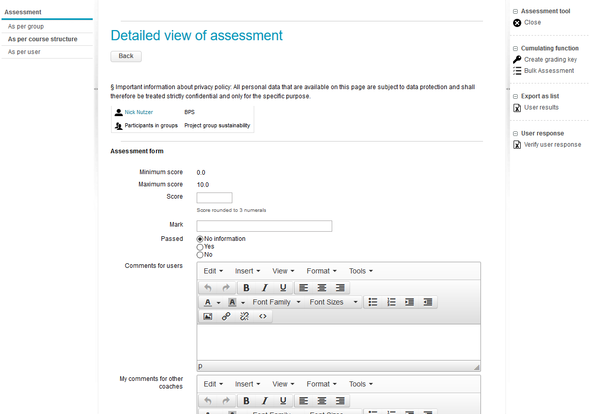 Bewertungswerkzeug-Bewertungsformular leer_en.png