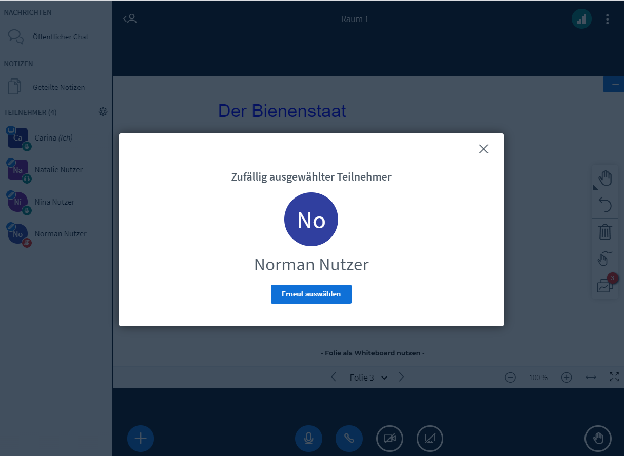 BBB Moderatorenansicht - Zufällig gewählter Nutzer_de.png