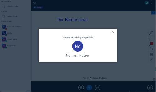 BBB Teilnehmendenansicht - ausgewählter Teilnehmender_de.png