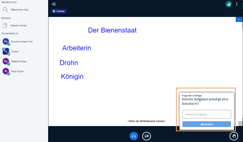 BBB Teilnehmeransicht - Umfrage_de.png