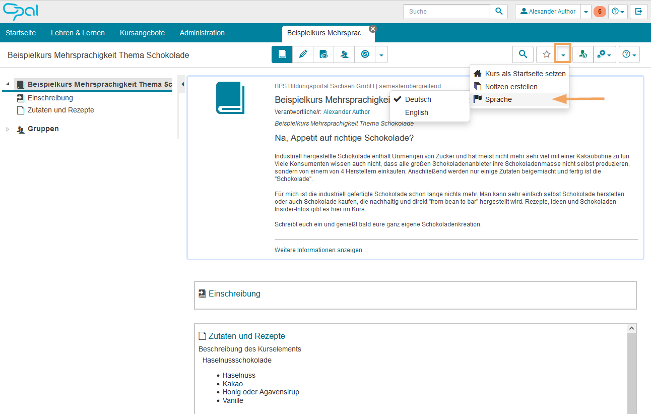 Kursansicht - Beispielkurs Mehrsprachigkeit_de.png