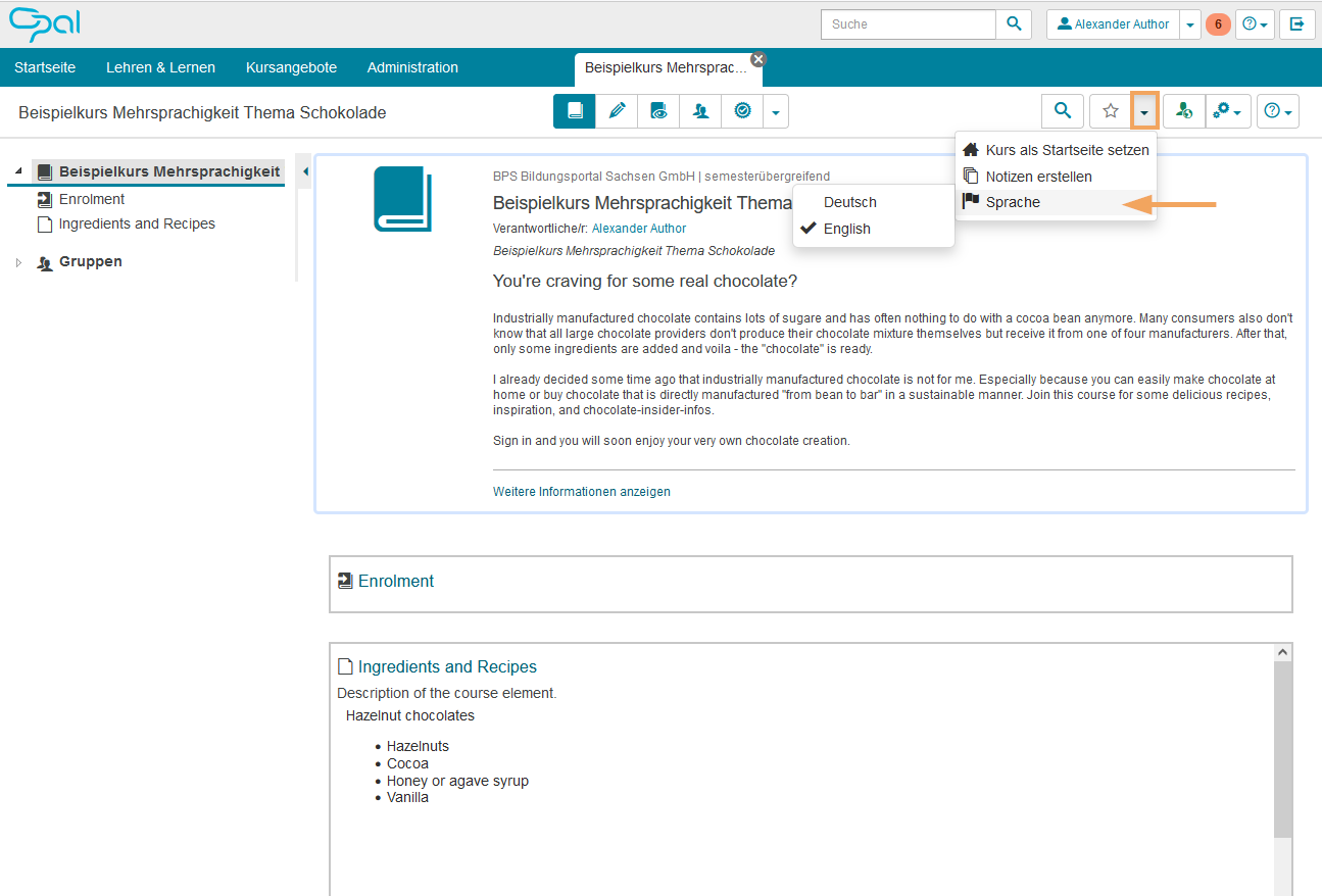 Kursansicht - Beispielkurs Mehrsprachigkeit_en.png