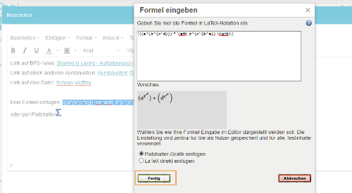 Texteditor - Formel speichern_de.png
