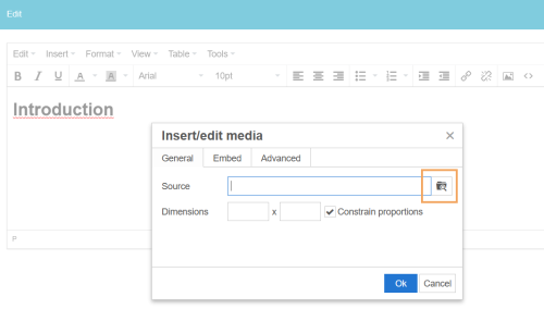 Tiny - Dialog Video einfügen_en.png