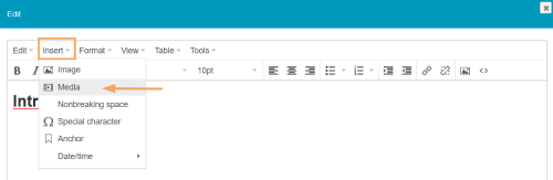 Tiny - Video einfügen_en.png