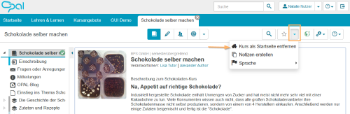Kursrun - Kurs als Startseite entfernen_de.png