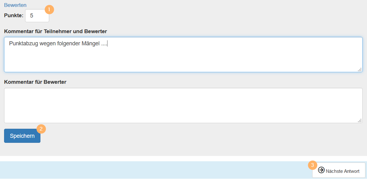 Bewertungswerkzeug - Bewertung durchführen_de.png