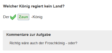 Testauswertung - Teilnehmerkommentare in der Einzelaufgabe_de.png