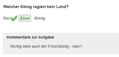 Testauswertung - Teilnehmerkommentare in der Einzelaufgabe_de.png