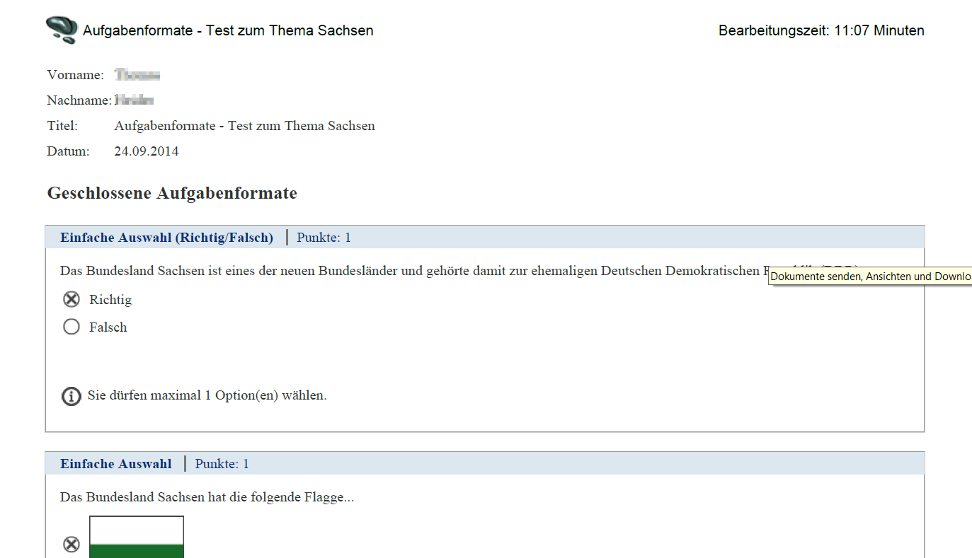 Export - Pdf Format_de.png