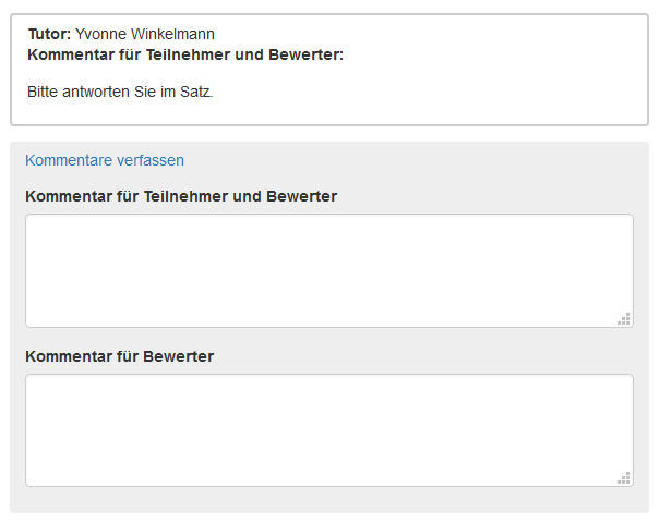 Manuelle Bewertung - Kommentarvergabe_de.png