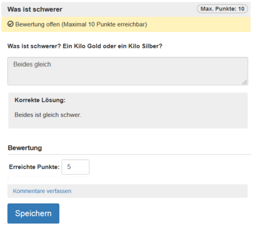 Manuelle Bewertung - Lösungsansicht_de.png