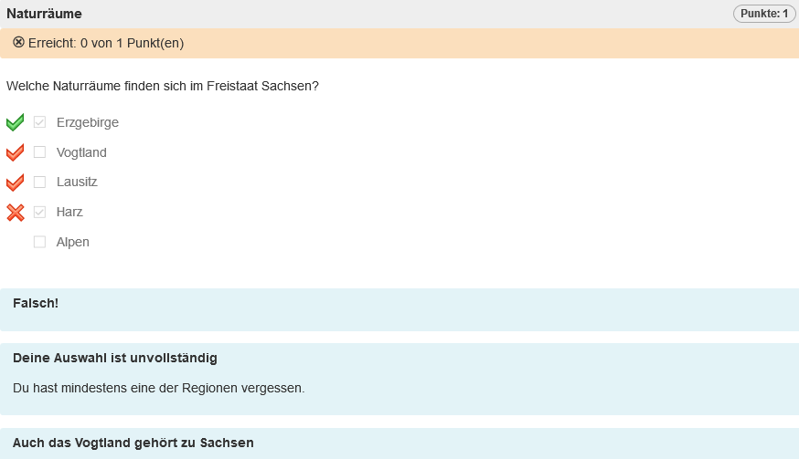 Testrun - Anzeige des individuellen Feedbacks_de.png