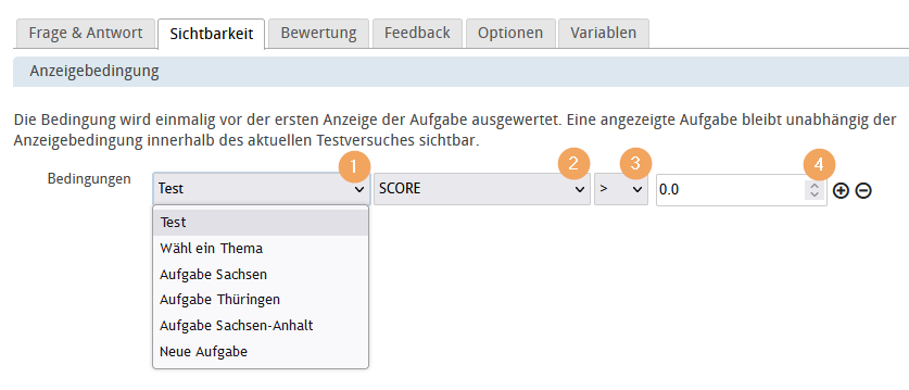 Editor - Anzeigebedingung einstellen_de.png