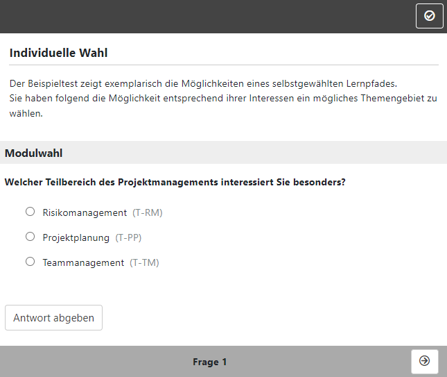 Player - Beispiel Selbstgewählter Lernpfad_de.png
