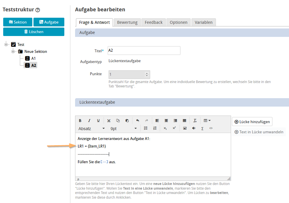 Aufgabe - Anzeige der Variable im Aufgabentext_de.png