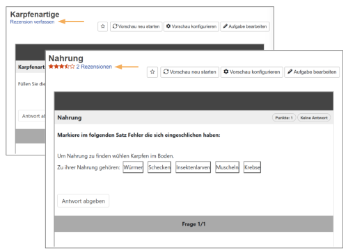 Rezensionen - Rezensionen verfassen_de.png