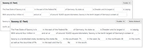 Testdurchführung -  Lückentext mit Eingabebox oder Linienfeld_de.png