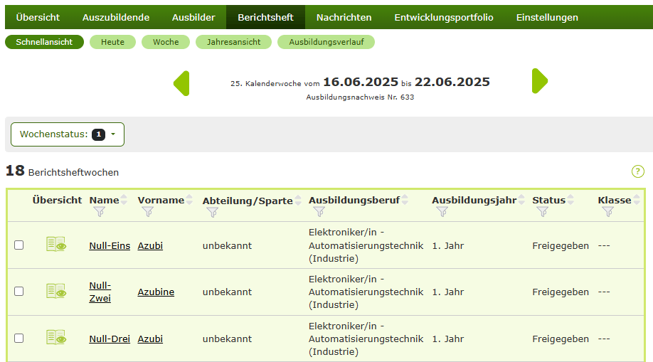 BLok-Schnellansicht-für-Berichtshefte.png